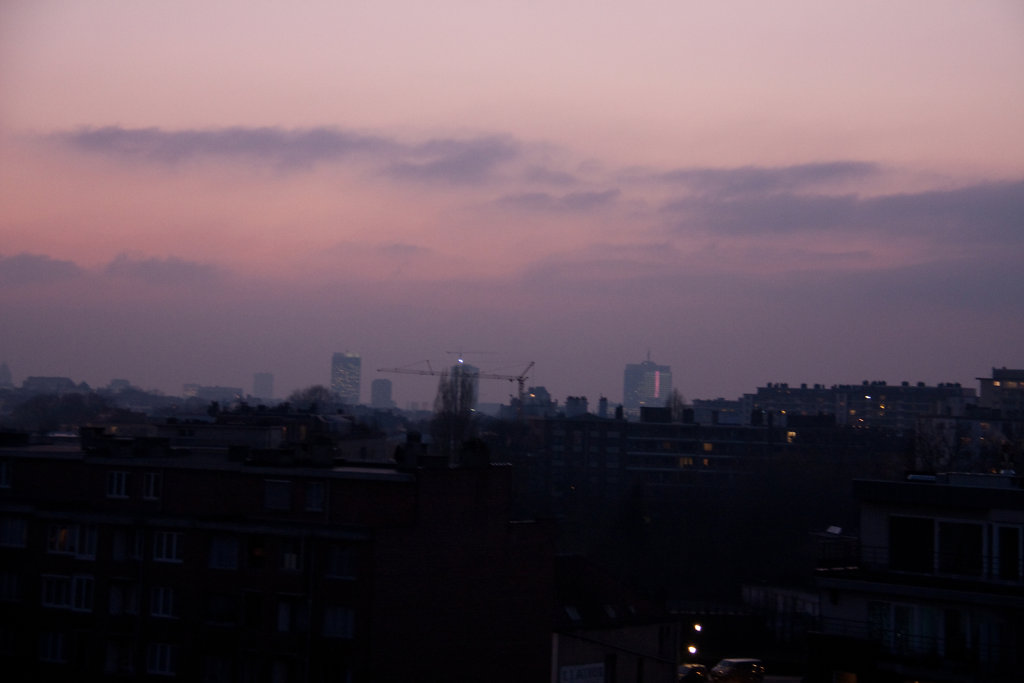 IMG-5573.jpg